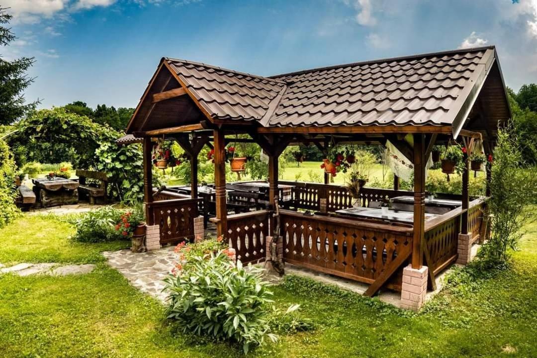 Pensiunea Mara Deseşti Exterior foto