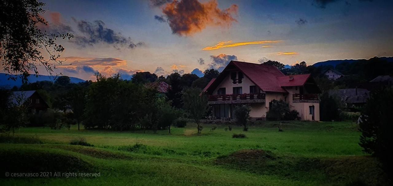 Pensiunea Mara Deseşti Exterior foto