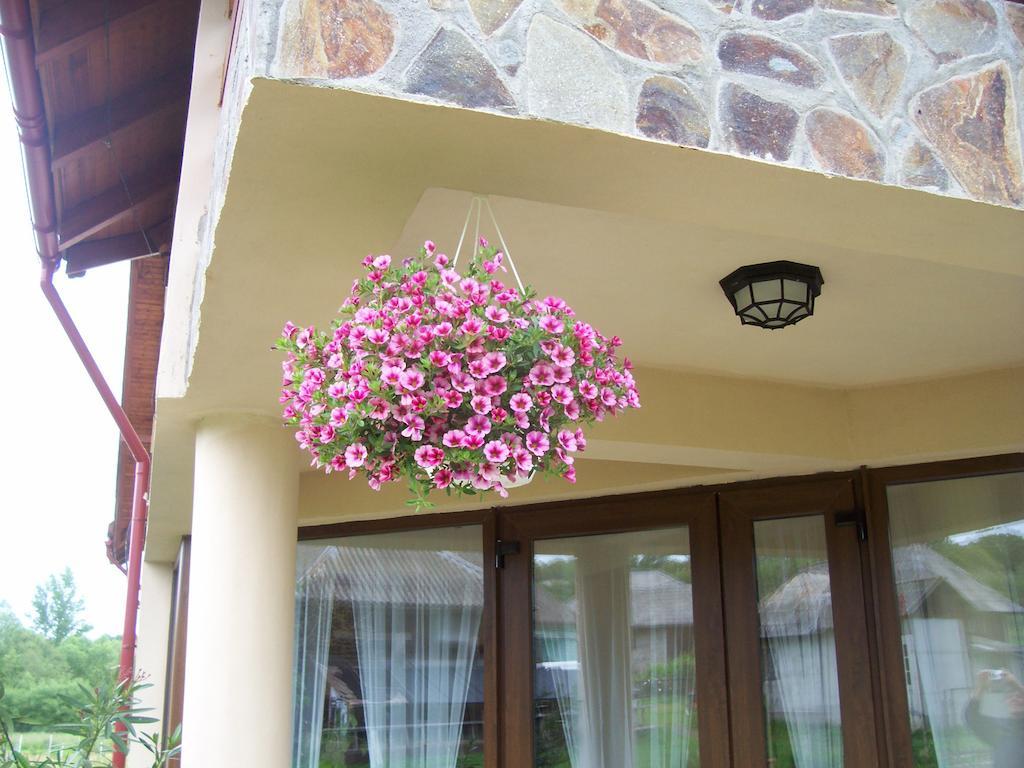 Pensiunea Mara Deseşti Exterior foto