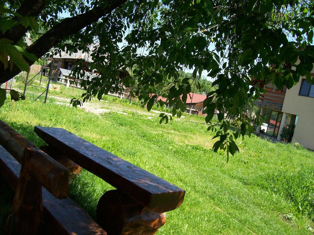 Pensiunea Mara Deseşti Exterior foto