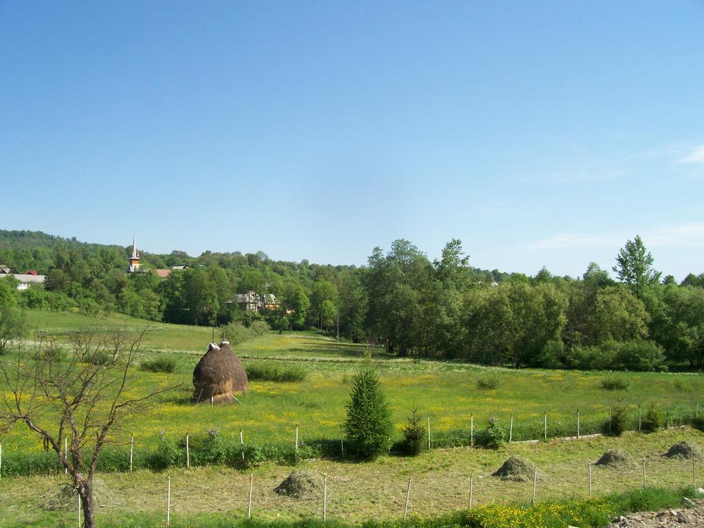 Pensiunea Mara Deseşti Exterior foto