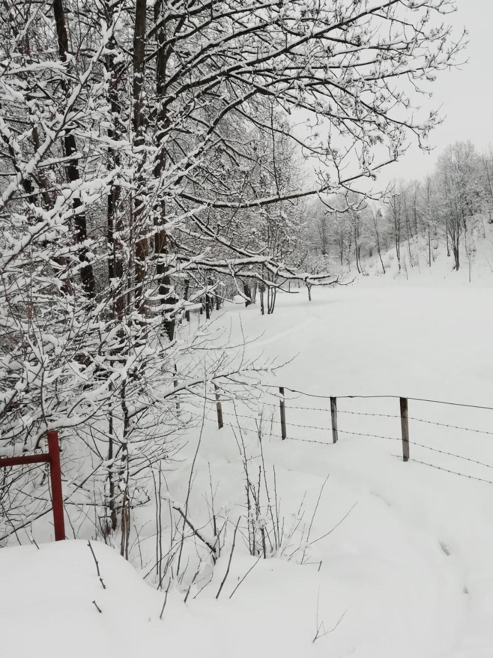 Pensiunea Mara Deseşti Exterior foto